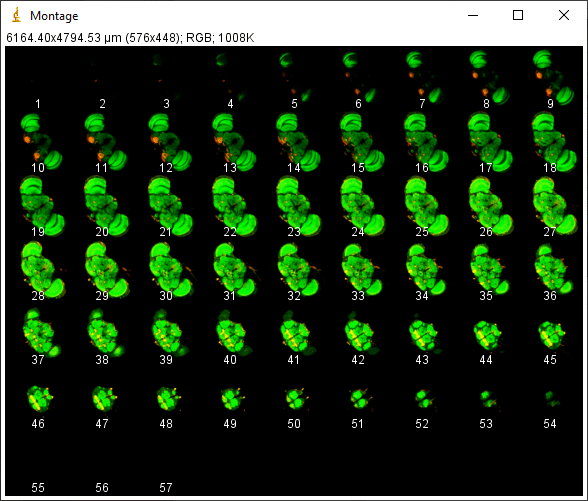 1.png.f565b21358ff4b24d679c44aff11177b.png