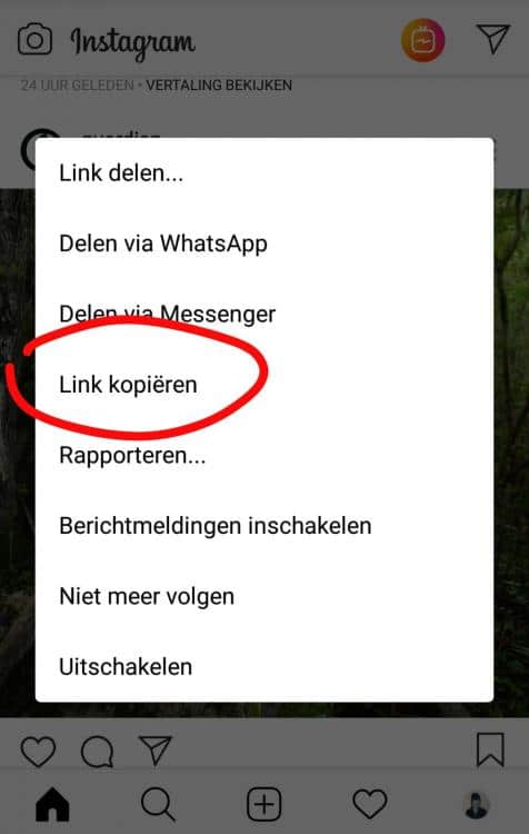 app.thumb.jpeg.64b72028092f1d378afdf19af0458ef0.jpeg
