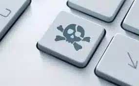 images1.webp