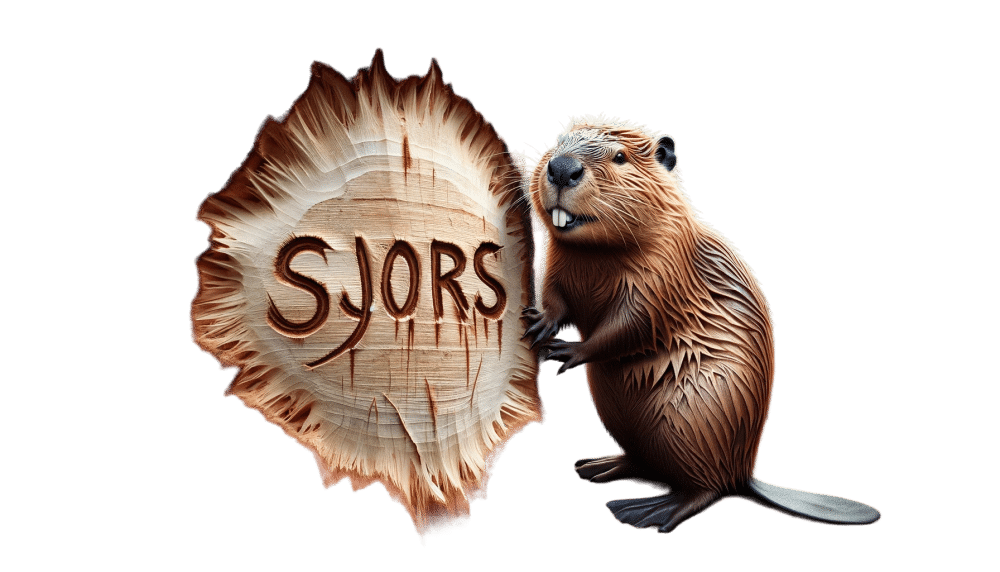 Sjors (1).png