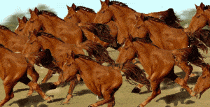 1930491838_retardedRunninghorsesMANYwith2legs.gif.54ef0dd5cd05b5a7effc50bc16cd500a.gif