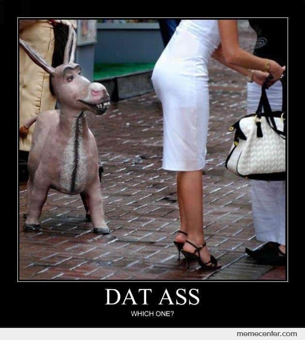 2-Asses_o_93541.jpg