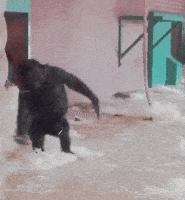 twirling dancing GIF