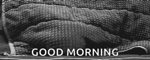 good morning GIF