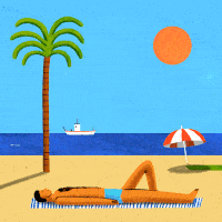 sunny beach day GIF