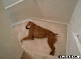 lazy wednesday GIF