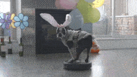 200w.gif