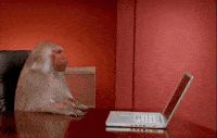 200w_s.gif