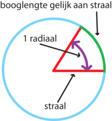 220px-Radiaal-Straal.png