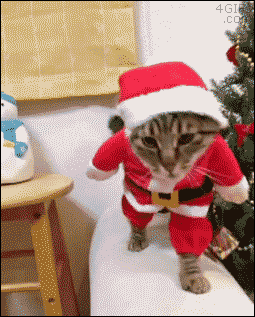 4-funny-animated-Christmas-cat.gif