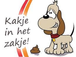 Gerelateerde afbeelding