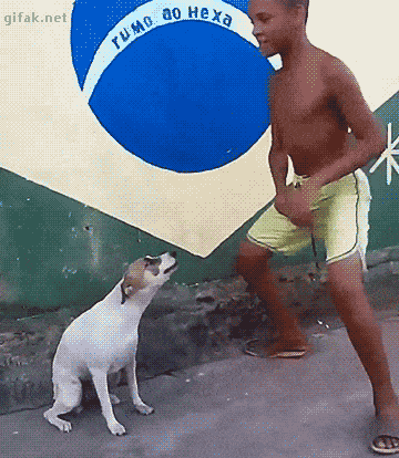 57 animated gifs.gif