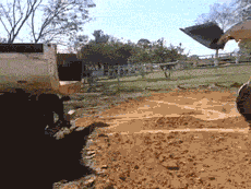 17 animated gifs.gif