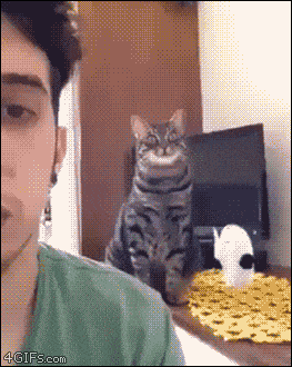 64 animated gifs.gif