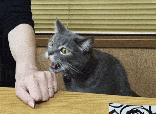 37 animated gifs.gif
