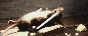 download (1).gif