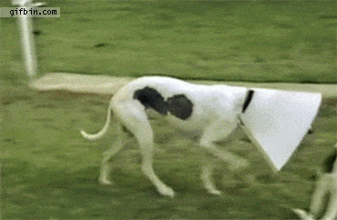 7e9e78844cbd174f7315e74e5cce0cdc.gif.806f18c9d4e696f63e97254b5c648eec.gif
