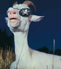 PirateGoat.jpg.1359fd318ba81e446594c2d29