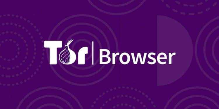 Tor-Browser-Download-Software.jpg.2e45185522708cd61118cae454def422.jpg