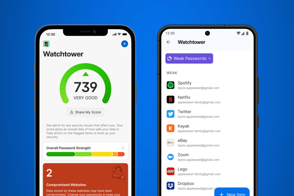 Watchtower_dashboard_weak_passwords.png