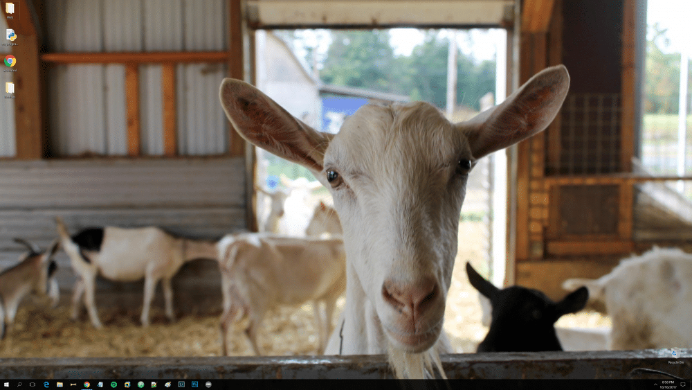 desktop.png
