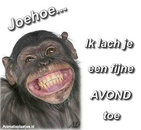 fijne-avond-animatieplaatjes.nl-aap.jpg