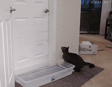 http://i.imgur.com/gYW2j95.gif
