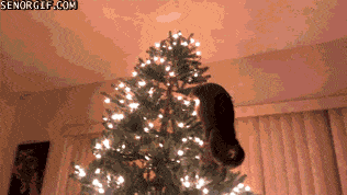 Afbeeldingsresultaat voor cat christmas trees christmas cat GIF