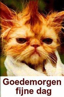 goedemorgen-129.jpg