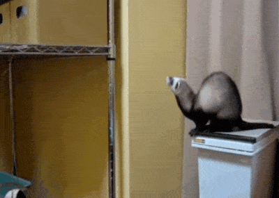 http://i.imgur.com/mpvcmdT.gif
