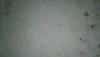 post-39290-1354772632,74_thumb.jpg