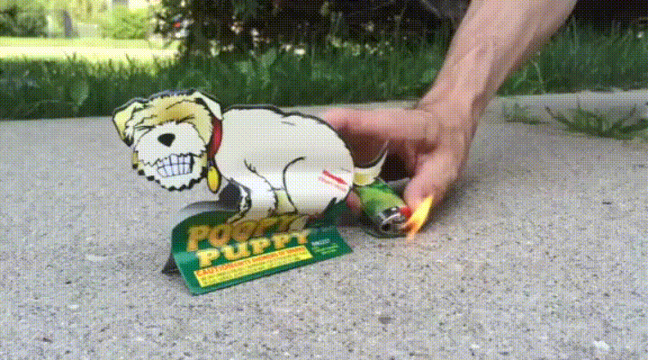 https://i.imgur.com/sW1zhc9.gif