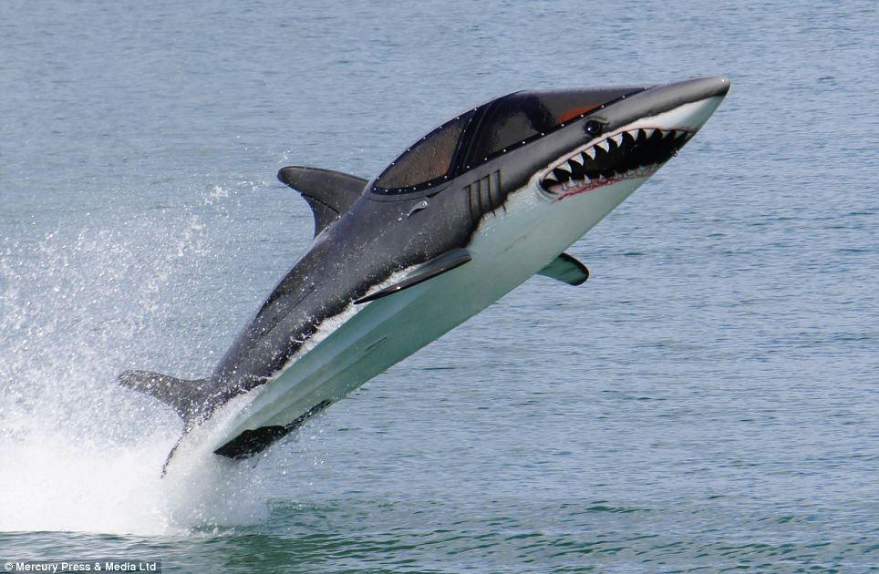 Afbeeldingsresultaat voor shark boat