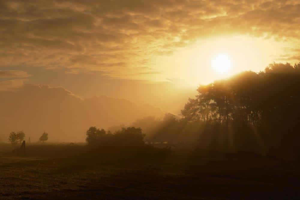 sunrise-5678735.jpg