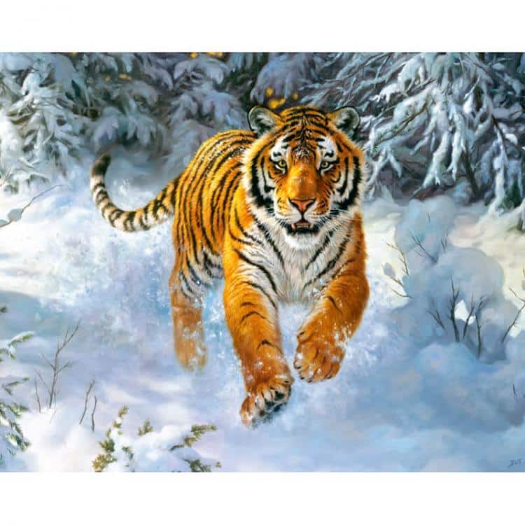 tijger-in-de-sneeuw.jpg