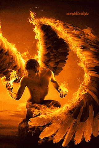 tumblr_ocdrulE1fM1vyg6mzo1_400.gif