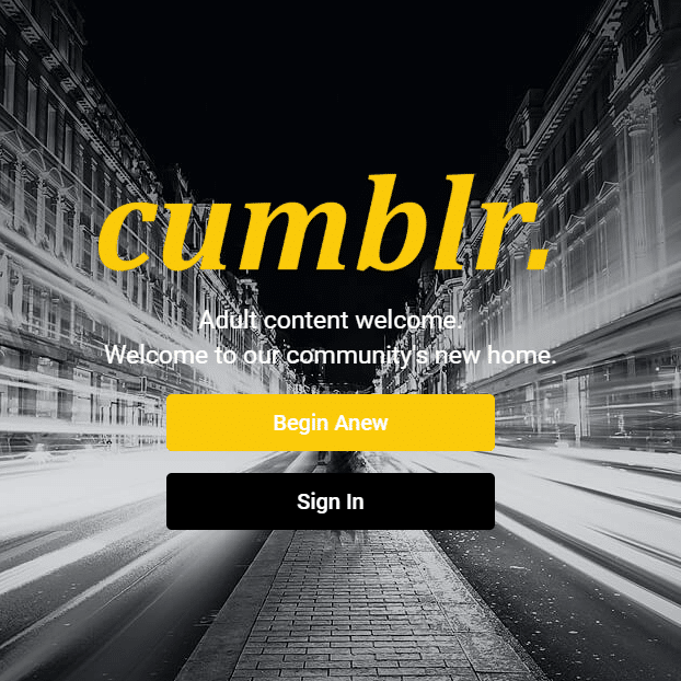 tumblr_pjt75bcfid1y2ssa9o1_r1_640.png