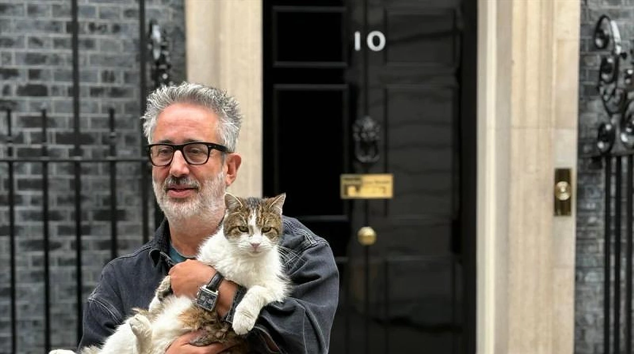 David Baddiel: Cat Man