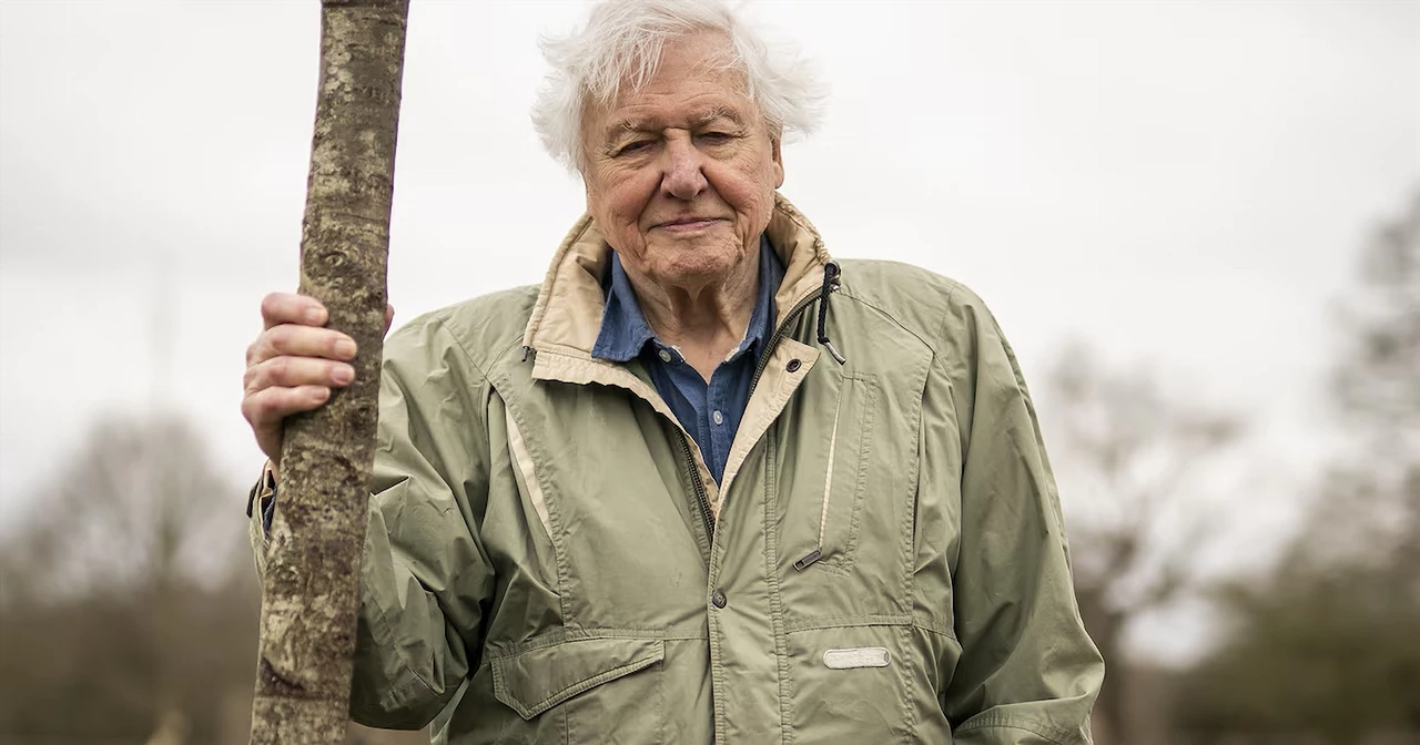 BBC VIERT DE 100e VERJAARDAG VAN SIR DAVID ATTENBOROUGH MET NIEUWE PRODUCTIES