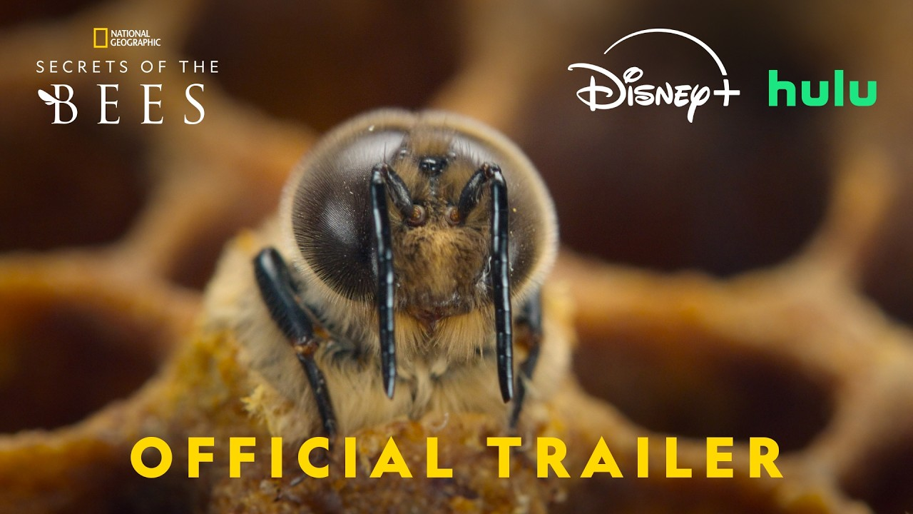 Secrets Of The Bees
