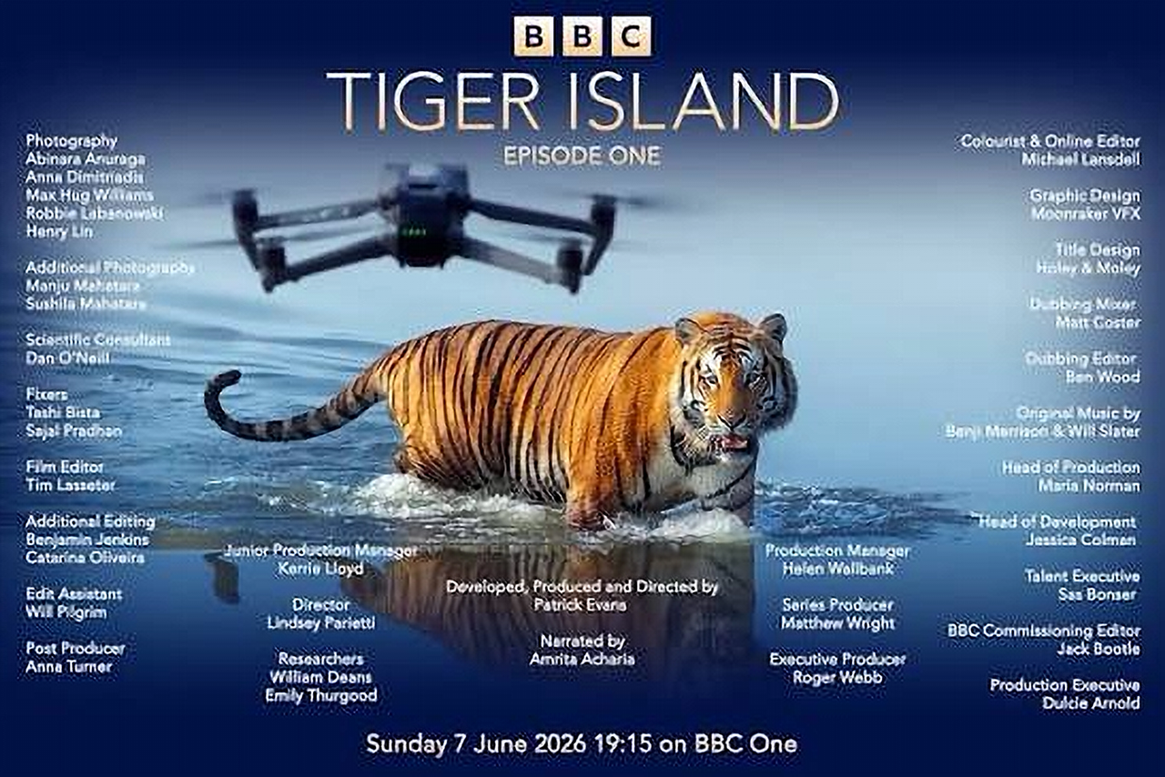 Tiger Island